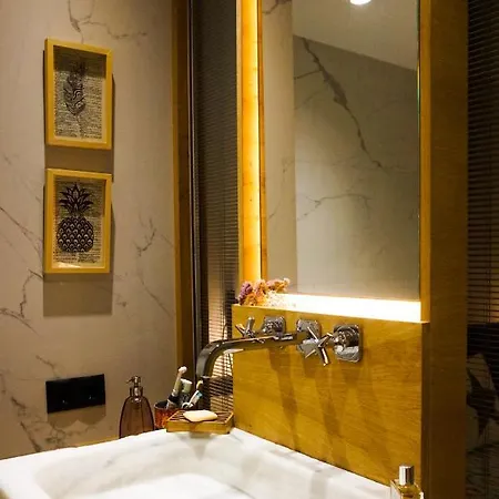 Apartamento Piso Acogedor Y Moderno Con Garage En Centro Puigcerdà